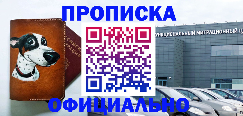 временная прописка в Лузе